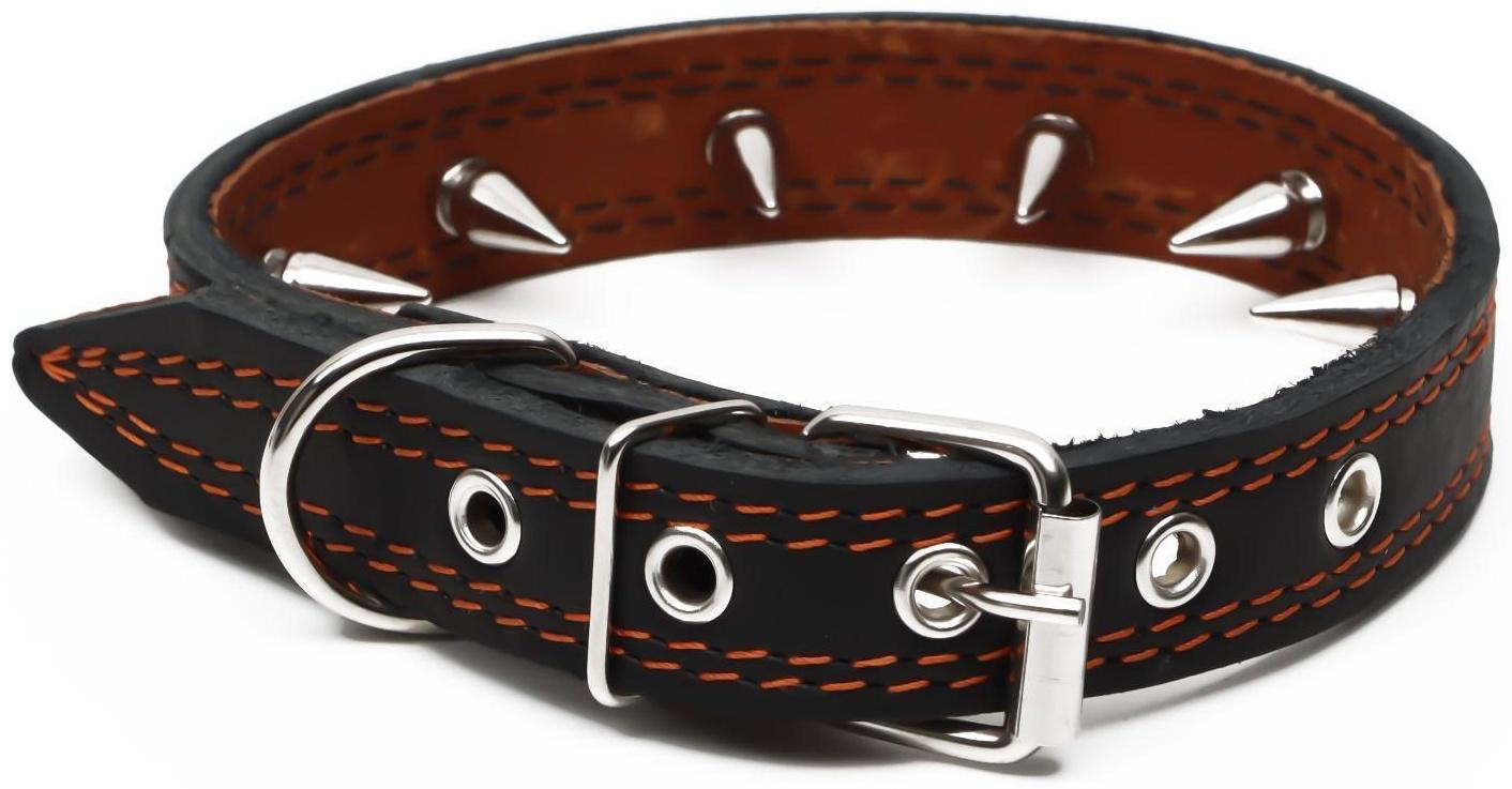 Ошейник кожаный 