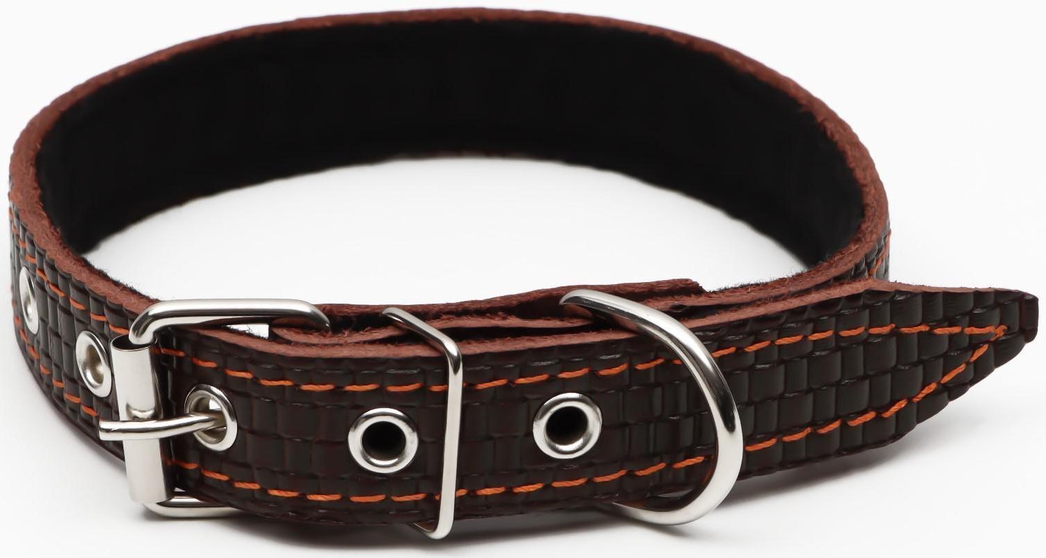 Ошейник кожаный с тиснением на синтепоне, 55 х 2.5 см, ОШ 35-45 см, коричневый