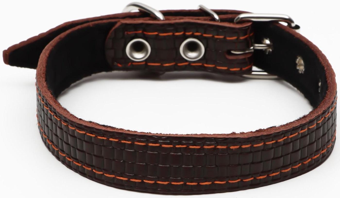 Ошейник кожаный с тиснением на синтепоне, 55 х 2.5 см, ОШ 35-45 см, коричневый