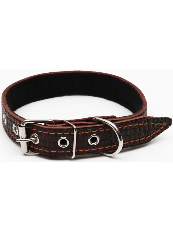 Ошейник кожаный с тиснением на синтепоне, 55 х 2.5 см, ОШ 35-45 см, коричневый
