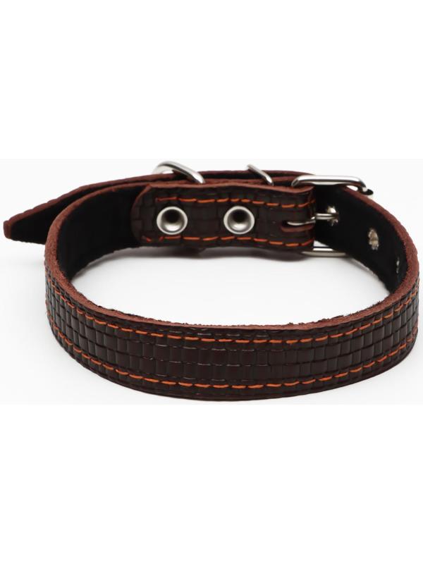 Ошейник кожаный с тиснением на синтепоне, 55 х 2.5 см, ОШ 35-45 см, коричневый