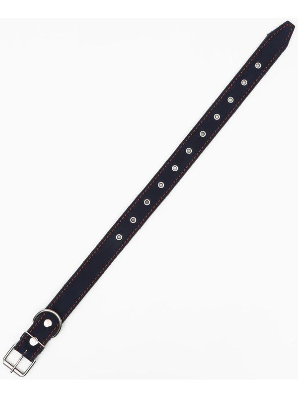 Ошейник комбинированный кожа/брезент, безразмерный, 70 х 3,5 см, ОШ 25-60 см, синий