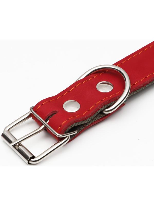 Ошейник комбинированный кожа/брезент, безразмерный, 70 х 3,5 см, ОШ 25-60 см, красный