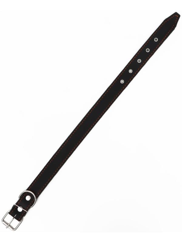 Ошейник комбинированный кожа/брезент, 69 х 3,5 см, ОШ 45-60 см, чёрный