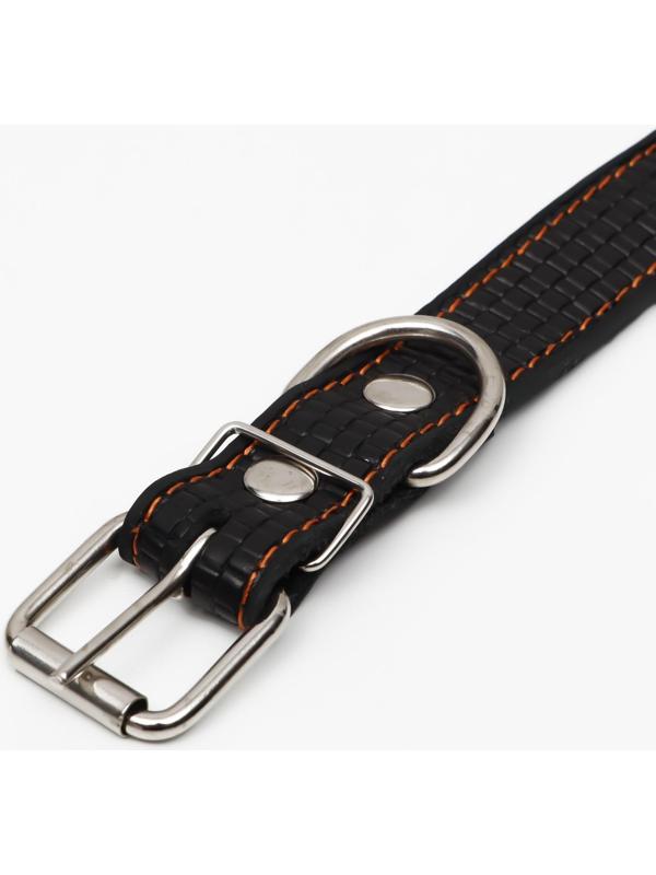 Ошейник кожаный с тиснением на синтепоне, 65 х 3 см, ОШ 40-55 см, чёрный