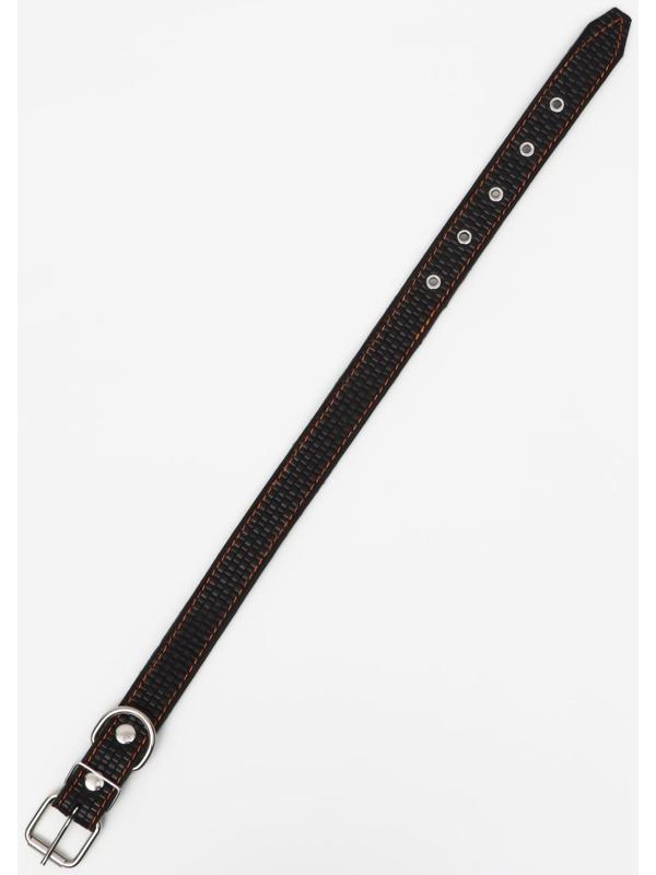 Ошейник кожаный с тиснением на синтепоне, 65 х 3 см, ОШ 40-55 см, чёрный