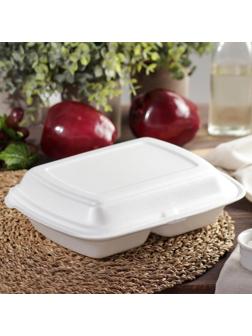 Ланч-бокс одноразовый, 24,7×20,6×7 см, 2 секции, цвет белый