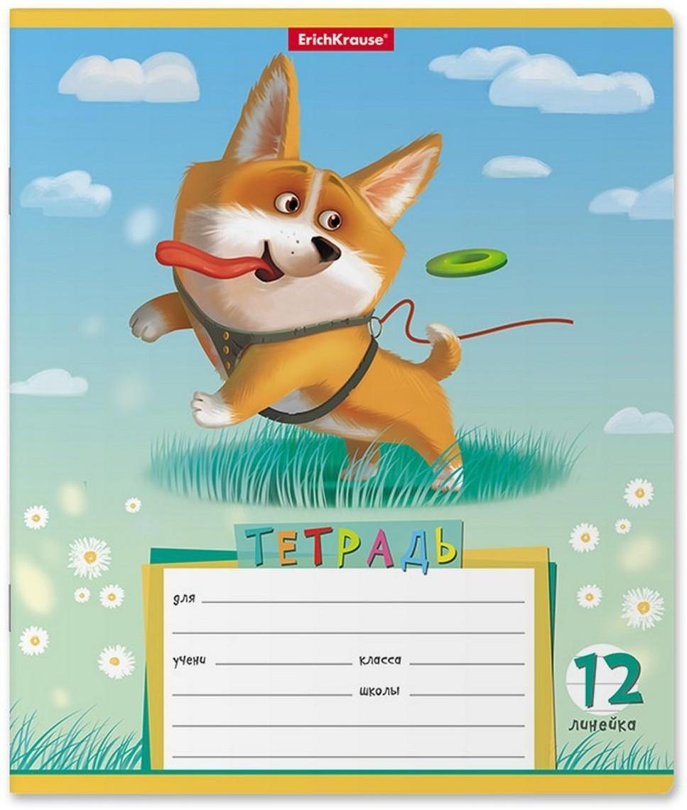 Тетрадь 12 листов в линейку, ErichKrause 
