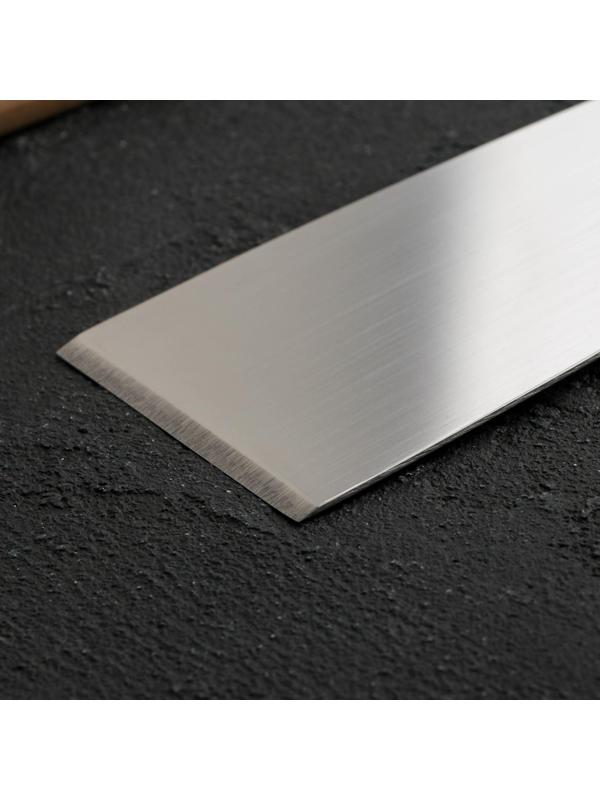 Лопатка-скребок Доляна «Виктори», 29×6 см, с пластиковой ручкой, прямая