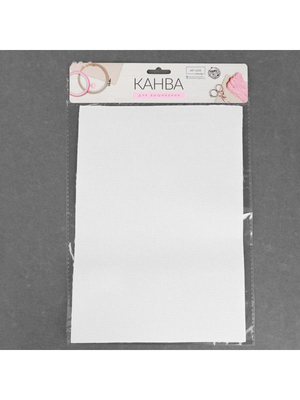 Канва для вышивания, №14, 30 × 20 см, цвет белый