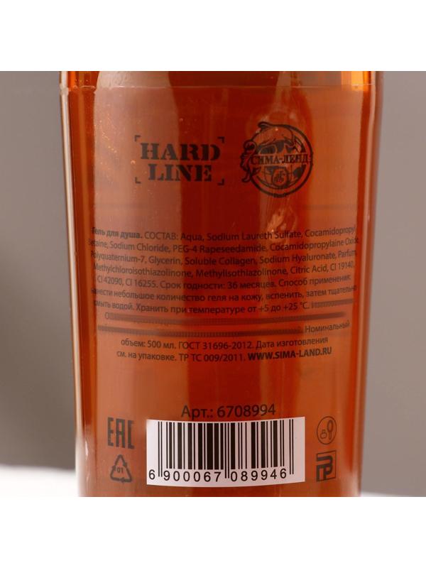 Гель для душа «Везения в новом году», 500 мл, с древесными и пряными нотами