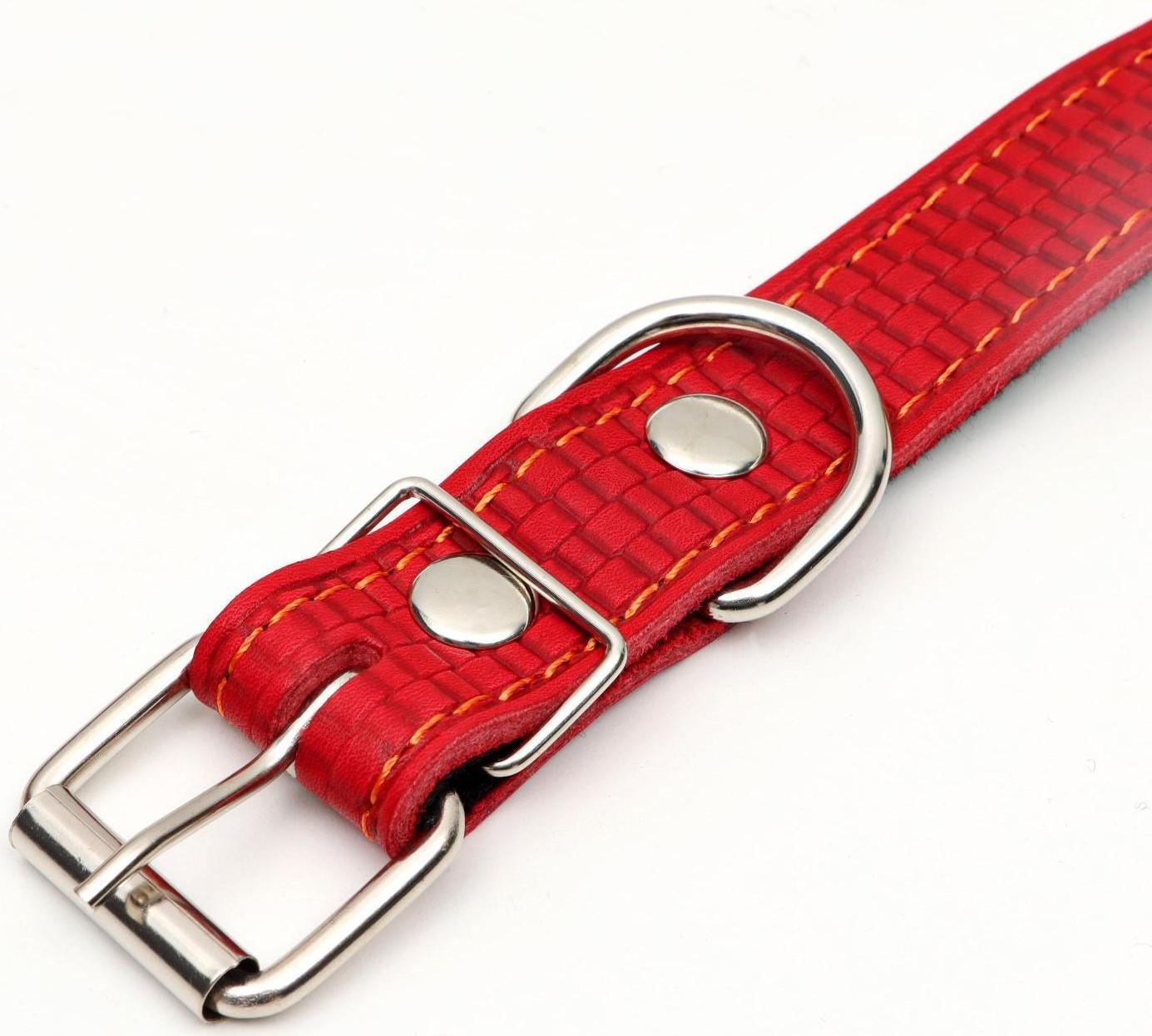 Ошейник кожаный с тиснением на синтепоне, 65 х 3 см, ОШ 40-55 см, красный