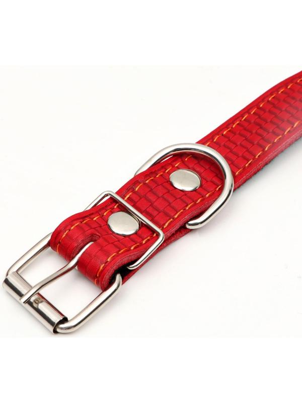 Ошейник кожаный с тиснением на синтепоне, 65 х 3 см, ОШ 40-55 см, красный