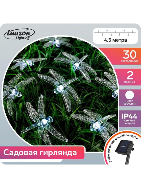 Гирлянда «Нить» 4.5 м с насадками «Стрекозы», IP44, тёмная нить, 30 LED, свечение белое, 2 режима, солнечная батарея