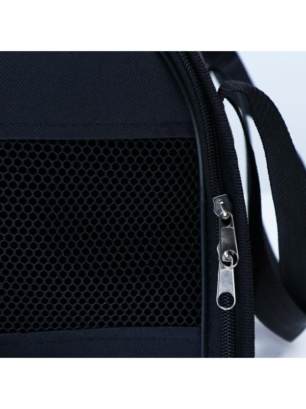 Сумка-переноска с принтом, 40 х 25 х 26, микс цветов