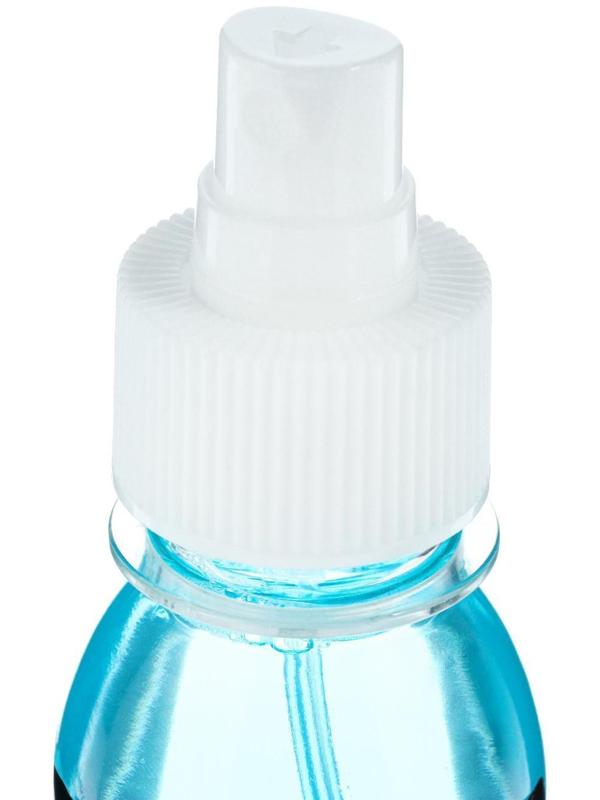 Очиститель стёкол Grand Caratt, спрей 100 мл