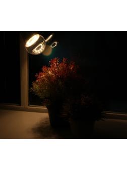 Фитолампа светодиодная Luazon, А60, E27, 12 Вт, IP44, 220 В, 270°, полноспектральная