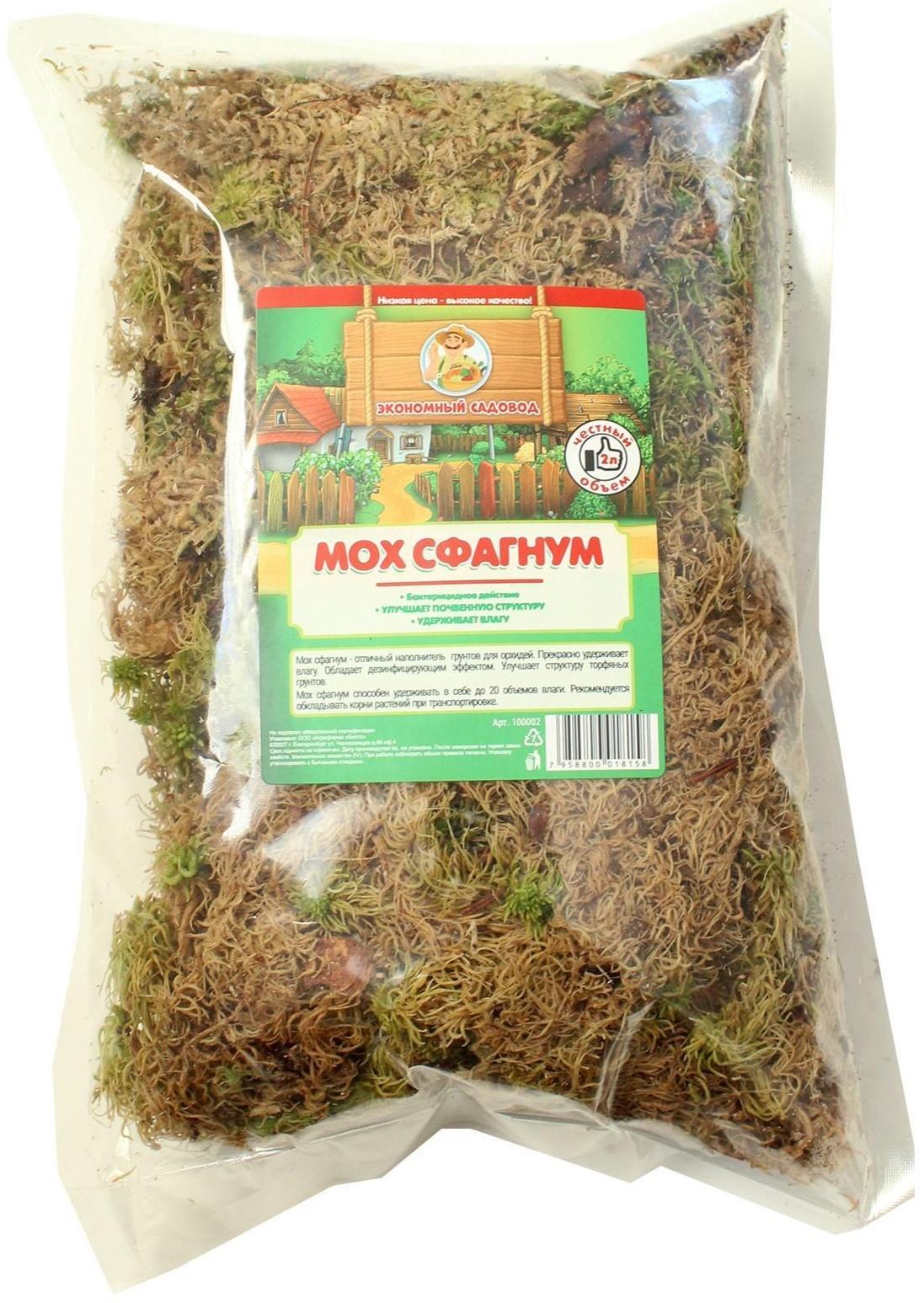 Мох сфагнум 