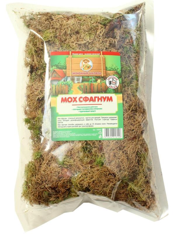 Мох сфагнум 