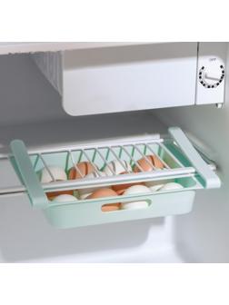 Полка для яиц в холодильник, подвесная, 12 ячеек, 26×17×5 см, цвет МИКС