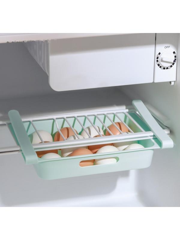 Полка для яиц в холодильник, подвесная, 12 ячеек, 26×17×5 см, цвет МИКС