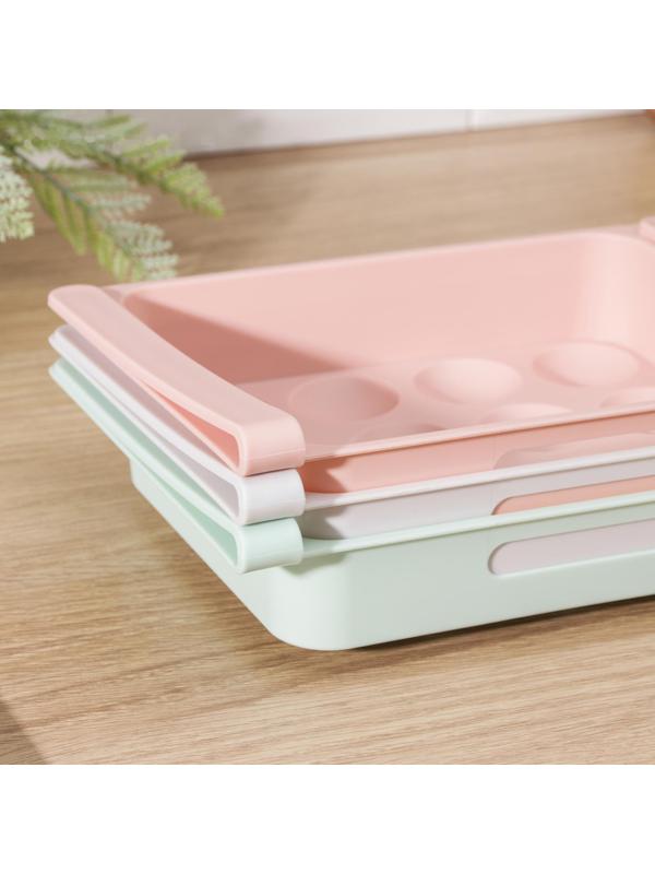 Полка для яиц в холодильник, подвесная, 12 ячеек, 26×17×5 см, цвет МИКС