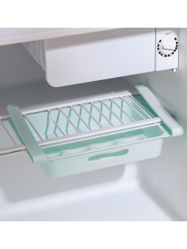 Полка для яиц в холодильник, подвесная, 12 ячеек, 26×17×5 см, цвет МИКС