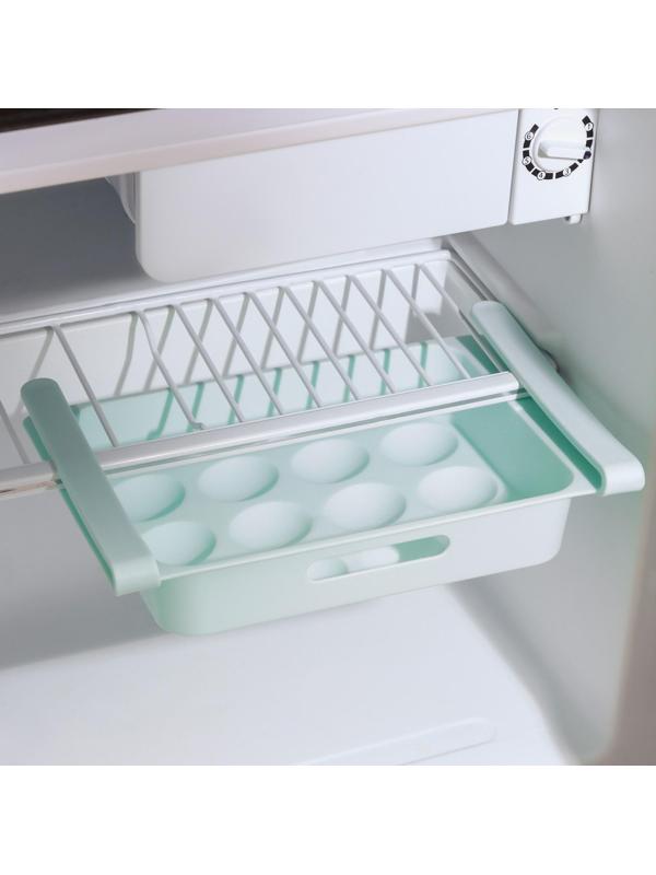 Полка для яиц в холодильник, подвесная, 12 ячеек, 26×17×5 см, цвет МИКС