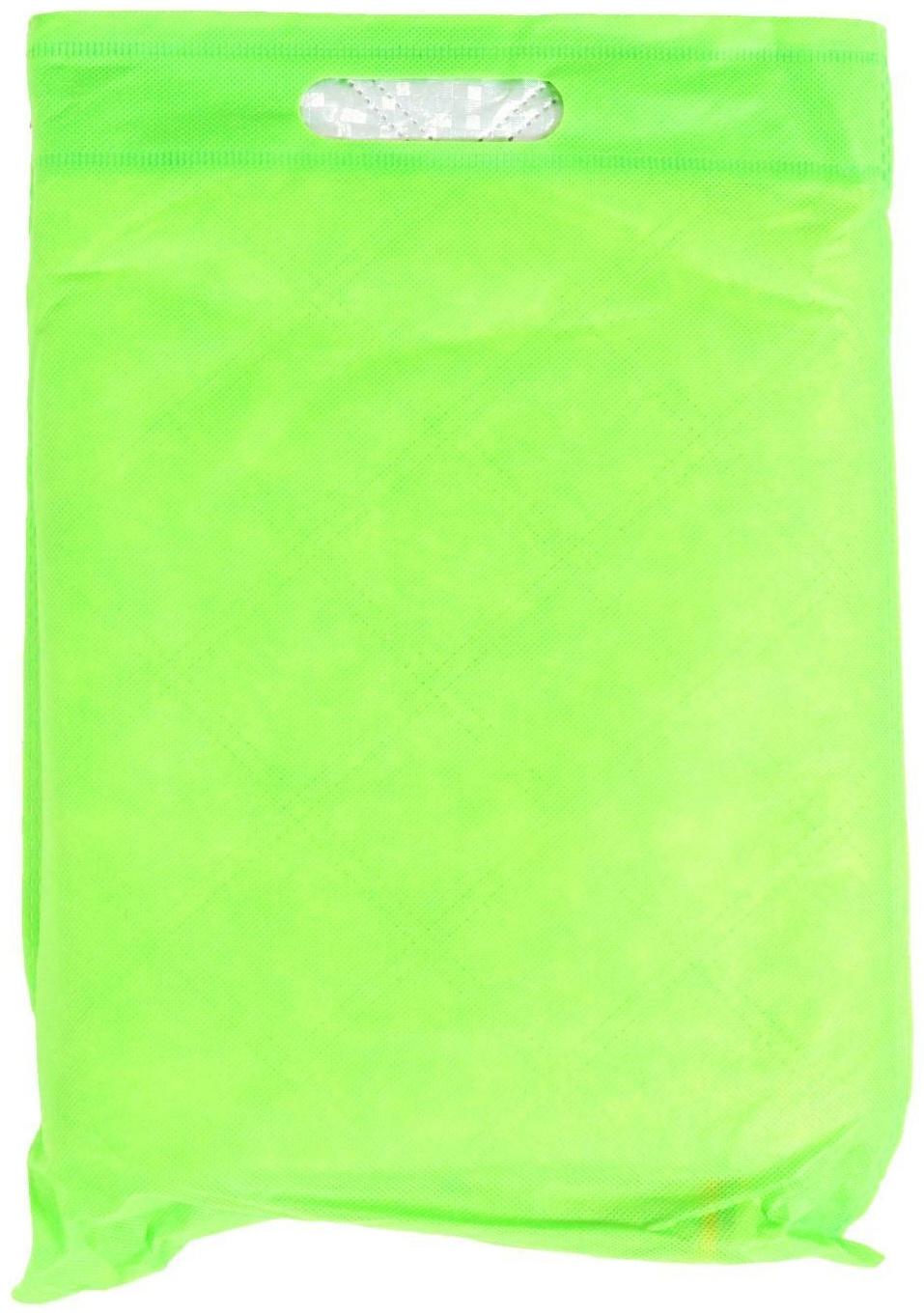 Защитный чехол-накидка на стекло автомобиля и зеркала 100х140 см, 2 слоя, светоотражающий