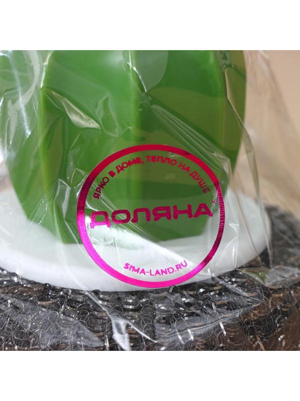 Щётка для мытья посуды «Кактус», металлическая губка, d=8 см