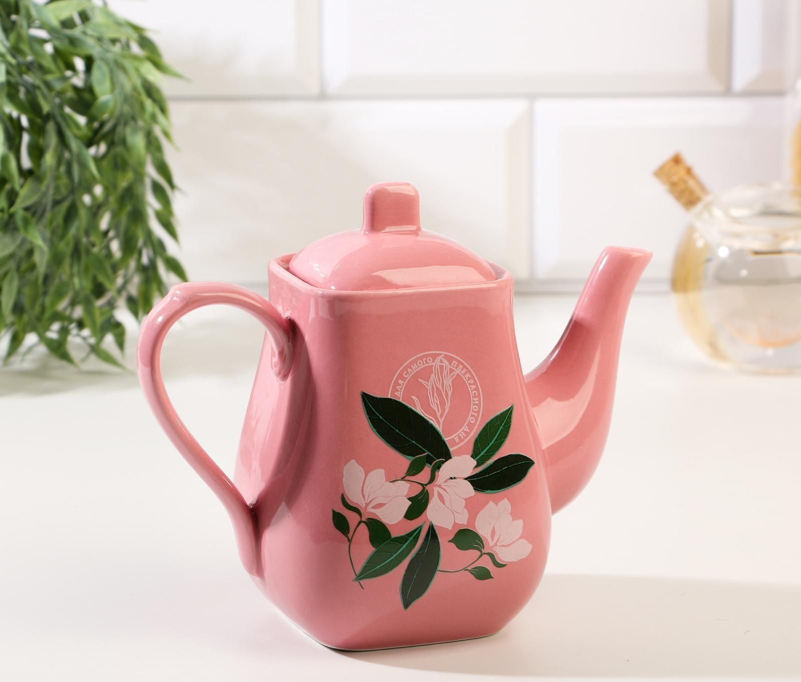 Чайник «Для самого прекрасного дня», 500 мл