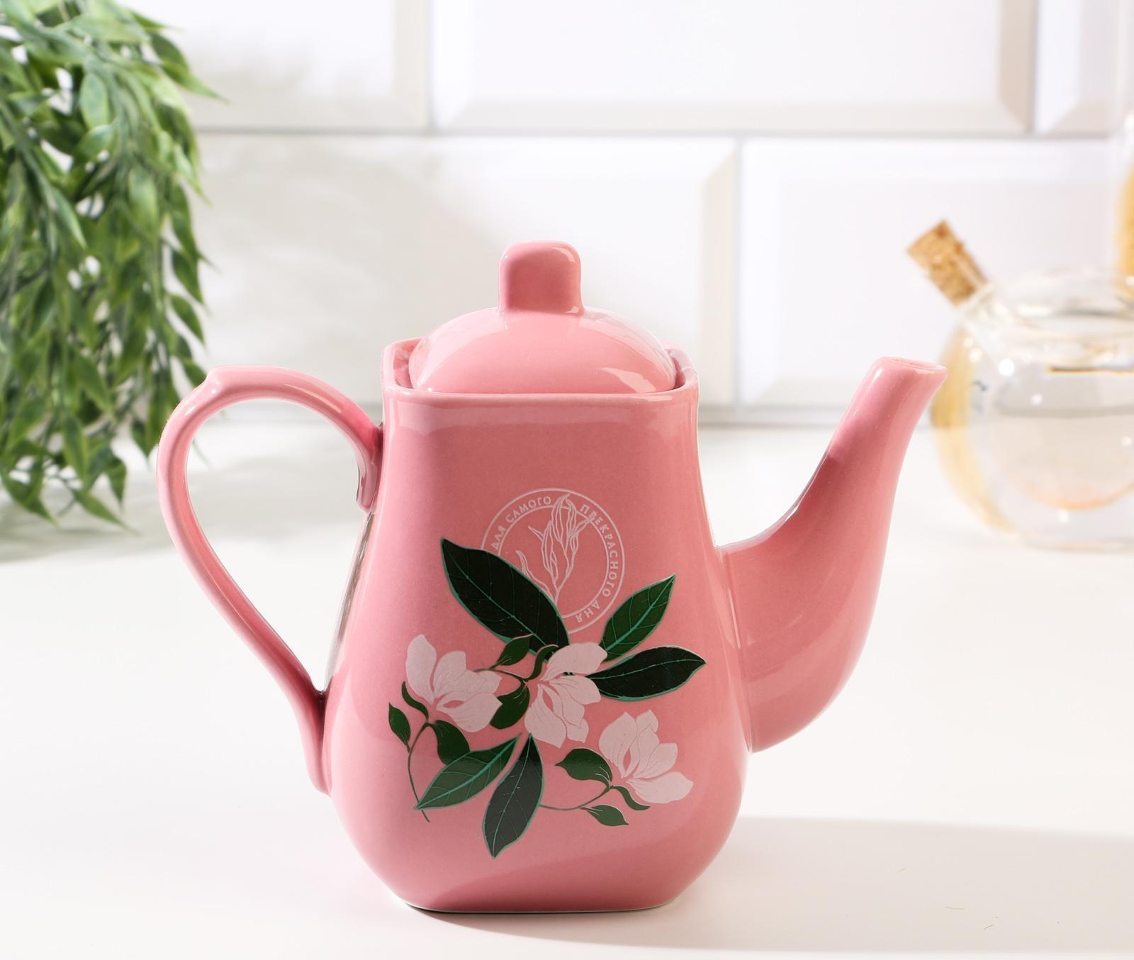 Чайник «Для самого прекрасного дня», 500 мл