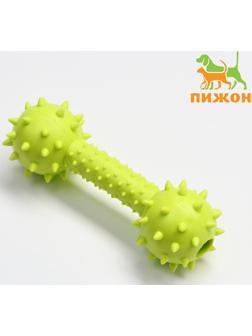 Игрушка жевательная 