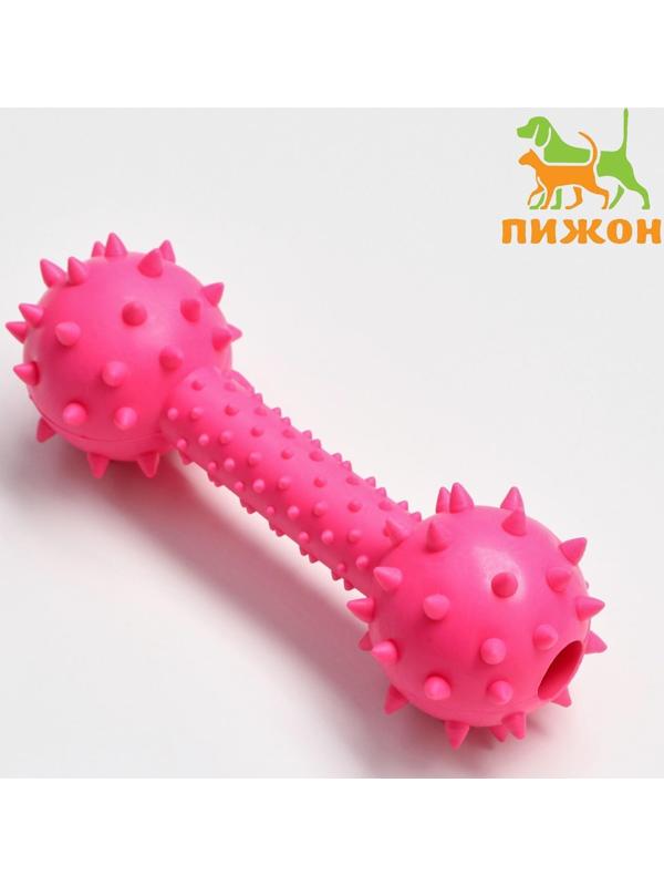 Игрушка жевательная 