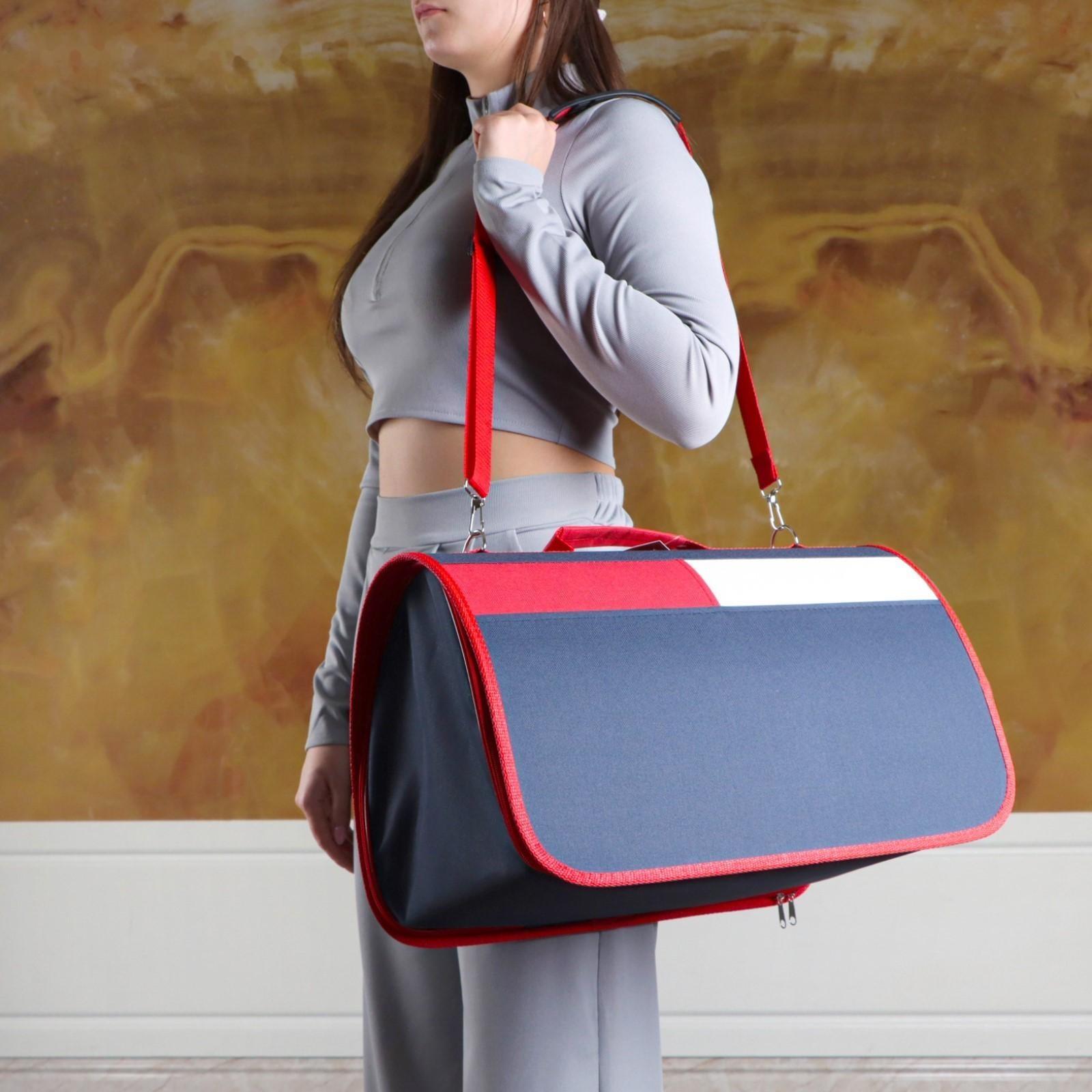 Сумка-переноска, каркасная, , 46 х 28,5 х 29 см, синий-красный