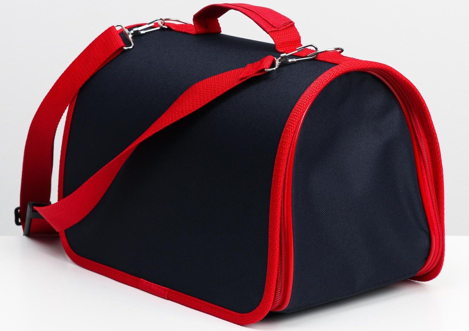 Сумка-переноска, каркасная, 31 х 20,5 х 22 см, синий-красный