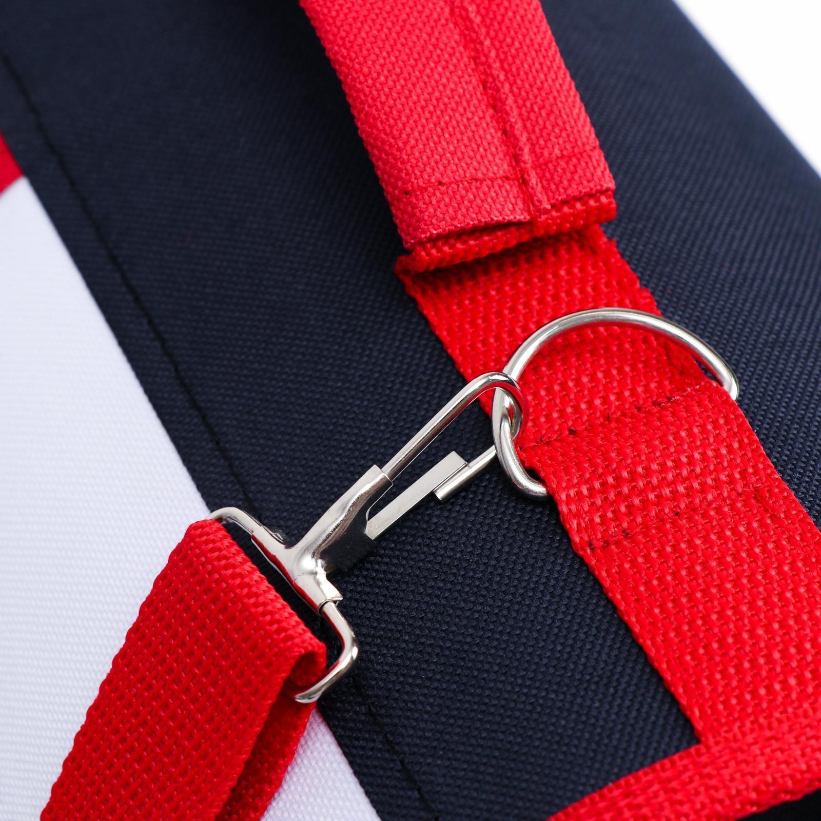 Сумка-переноска, каркасная, 31 х 20,5 х 22 см, синий-красный