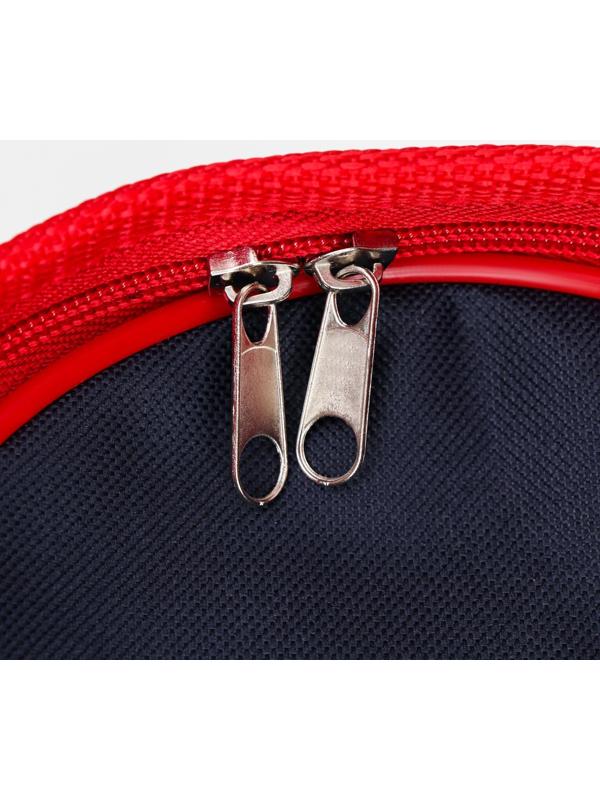 Сумка-переноска, каркасная, 31 х 20,5 х 22 см, синий-красный