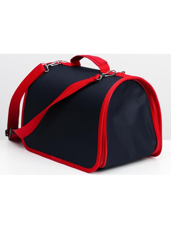 Сумка-переноска, каркасная, 31 х 20,5 х 22 см, синий-красный