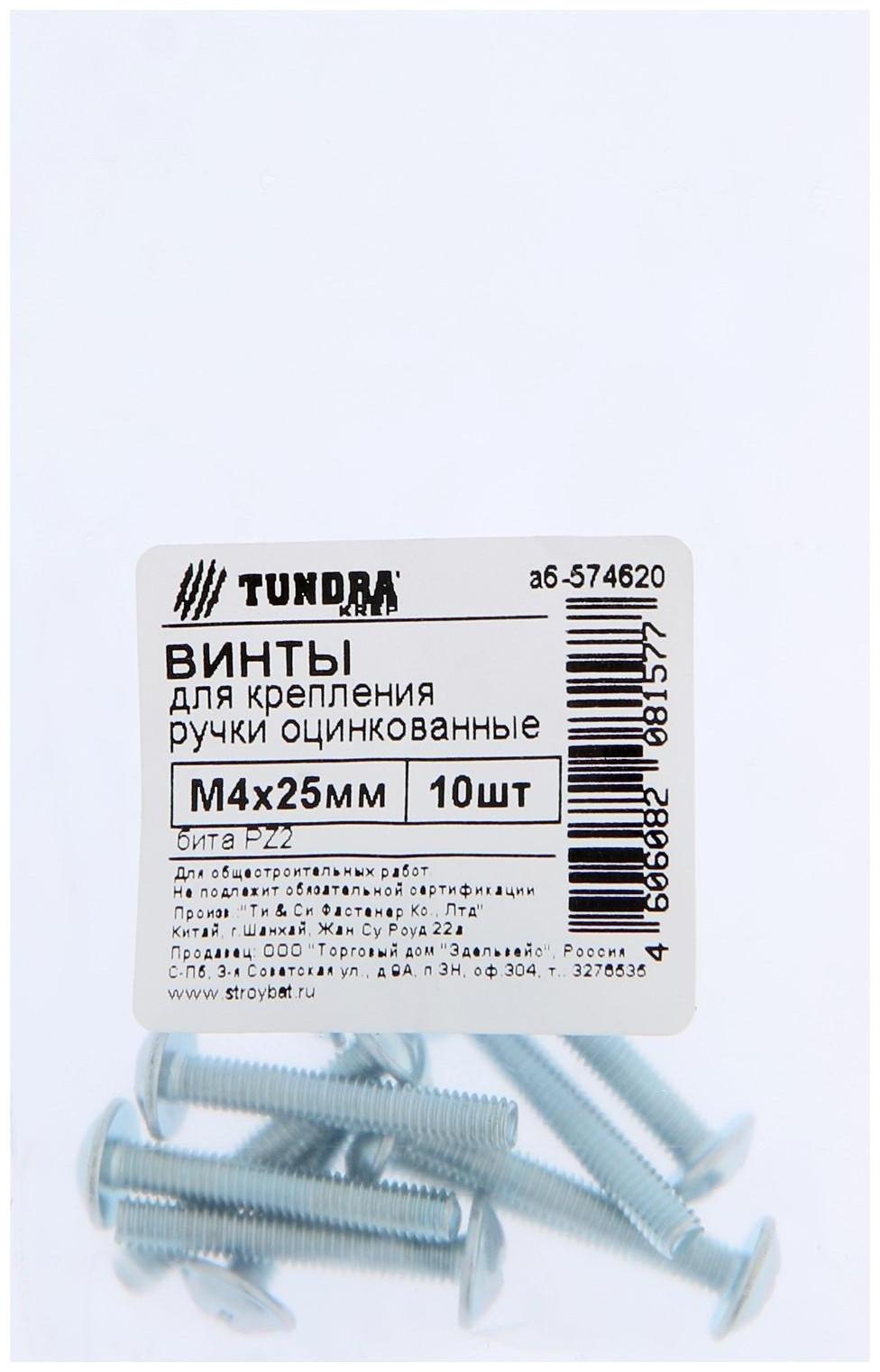 Винт для крепления ручки ТУНДРА krep М4x25 мм, цинк, 10 шт.