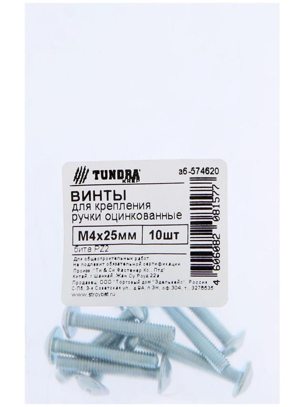 Винт для крепления ручки ТУНДРА krep М4x25 мм, цинк, 10 шт.