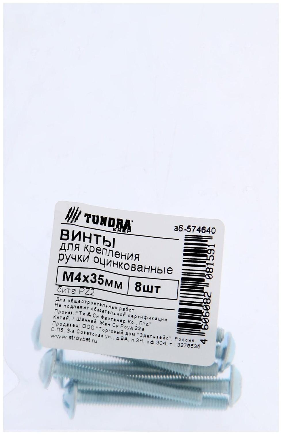 Винт для крепления ручки ТУНДРА krep М4x35 мм, цинк, 8 шт.