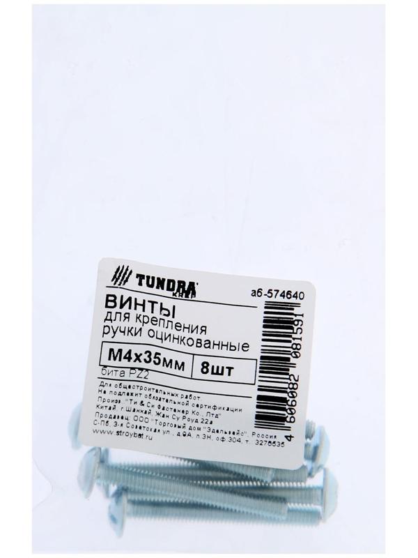 Винт для крепления ручки ТУНДРА krep М4x35 мм, цинк, 8 шт.