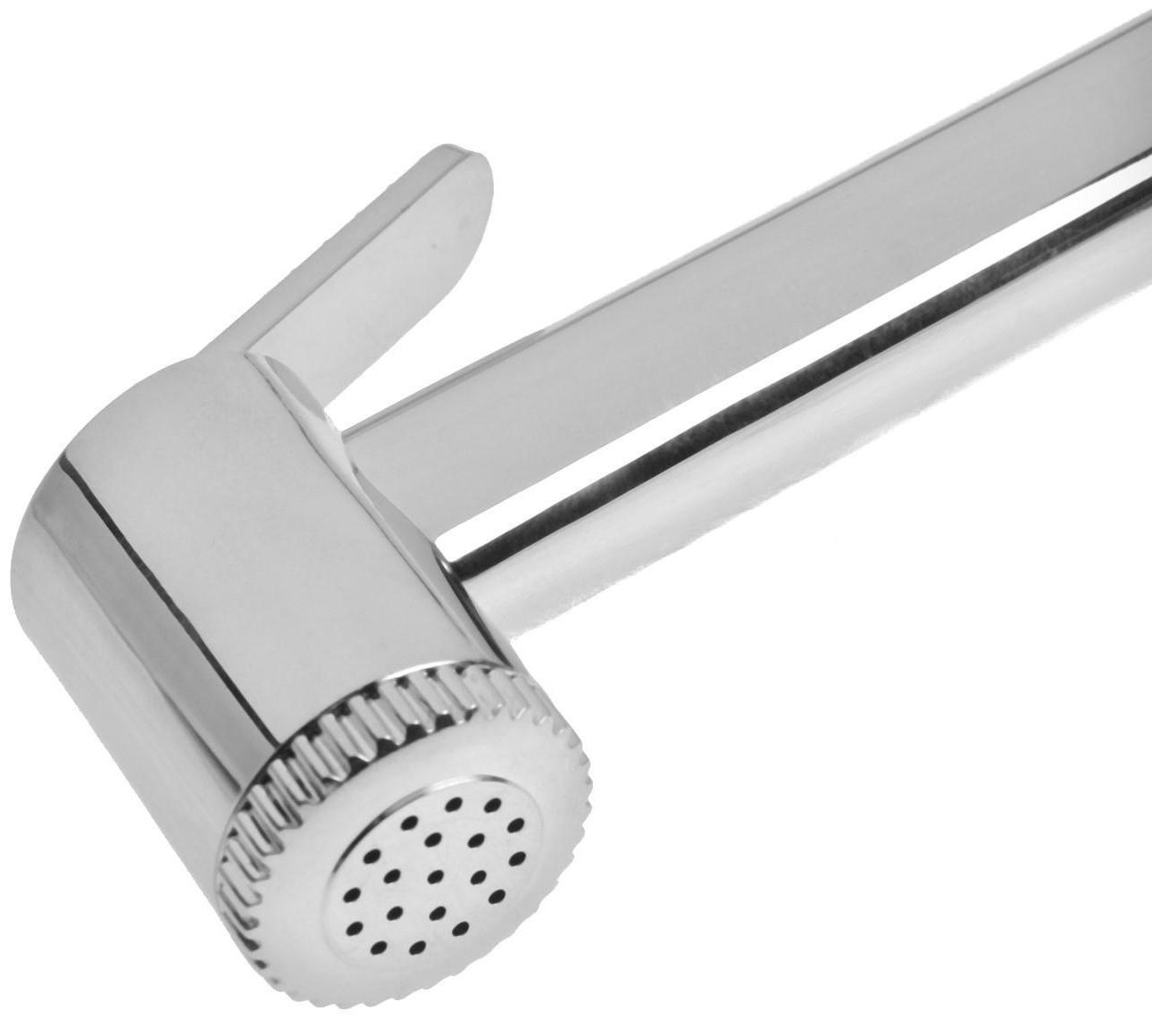 Набор для гигиенического душа с аэратором-переключателем (лейка, шланг и держатель) Accoona