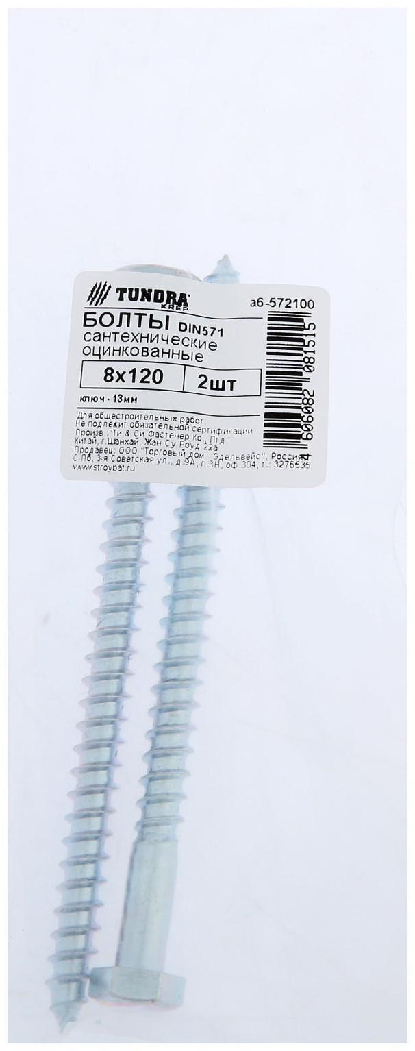 Болт сантехнический ТУНДРА krep DIN571 8x120 мм, цинк, 2 шт.