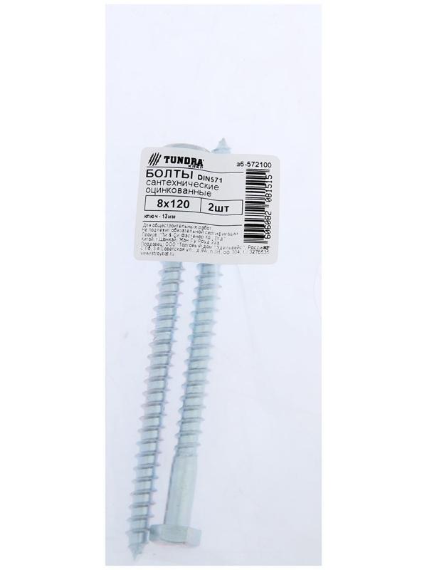 Болт сантехнический ТУНДРА krep DIN571 8x120 мм, цинк, 2 шт.