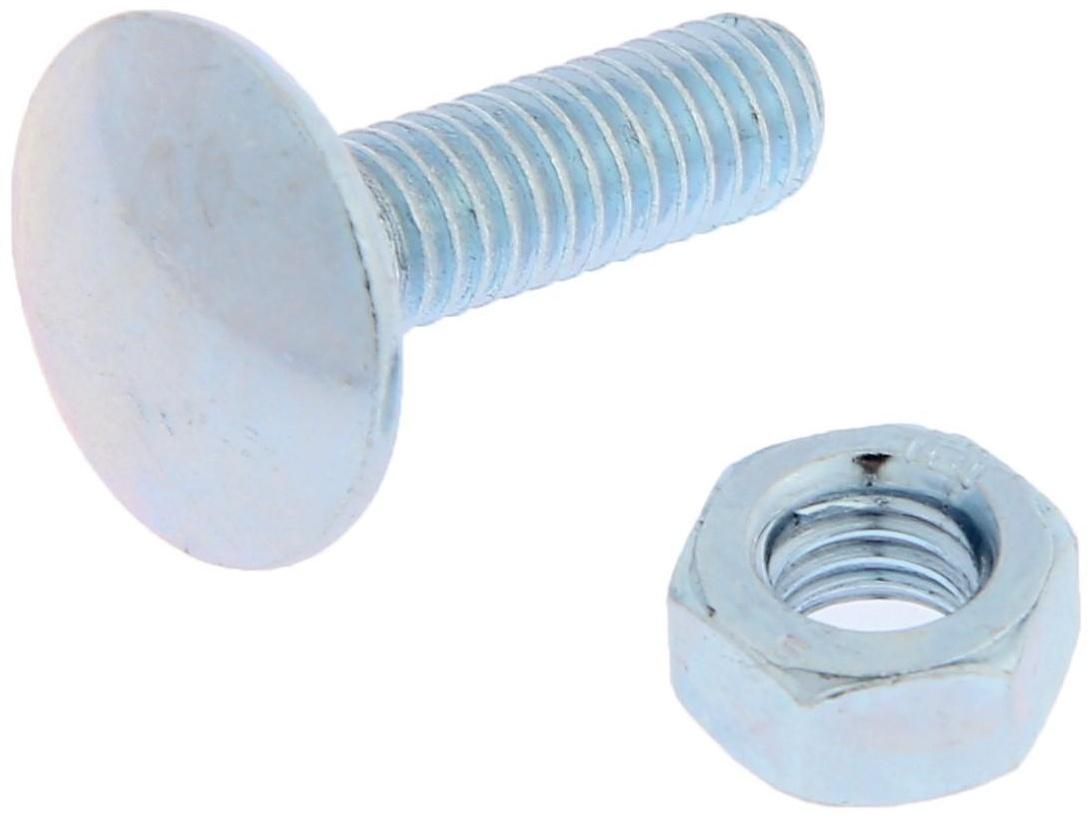 Болт мебельный ТУНДРА krep DIN603 6x20 с гайкой, цинк, 10 шт.