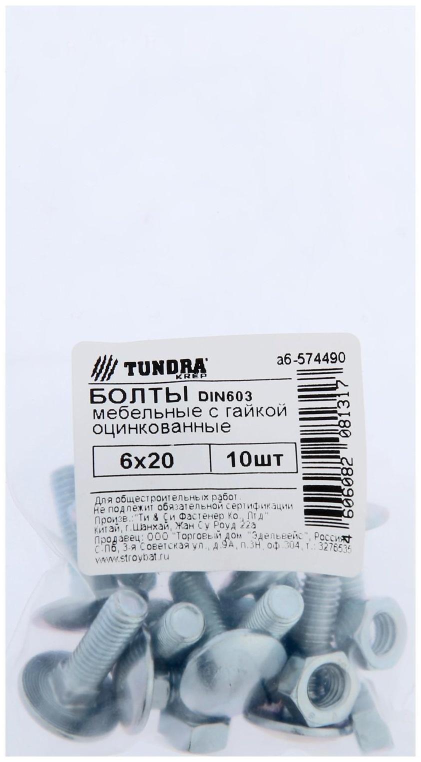Болт мебельный ТУНДРА krep DIN603 6x20 с гайкой, цинк, 10 шт.