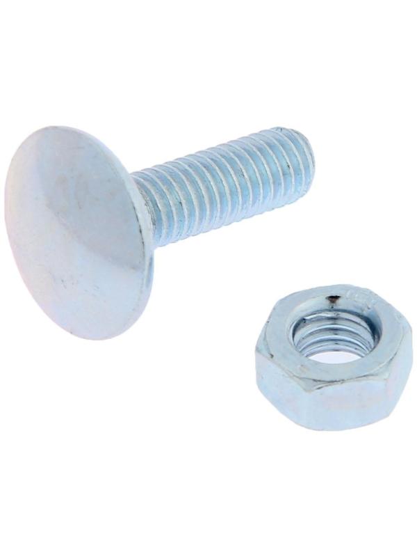 Болт мебельный ТУНДРА krep DIN603 6x20 с гайкой, цинк, 10 шт.