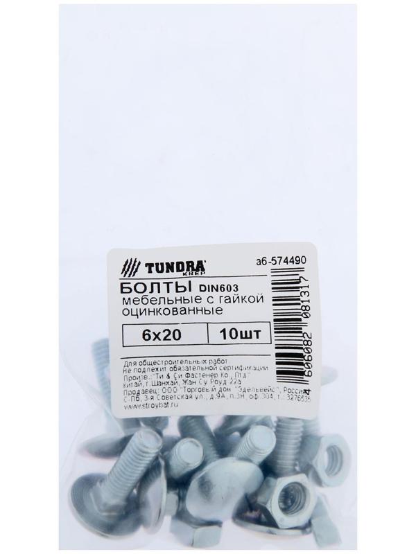 Болт мебельный ТУНДРА krep DIN603 6x20 с гайкой, цинк, 10 шт.